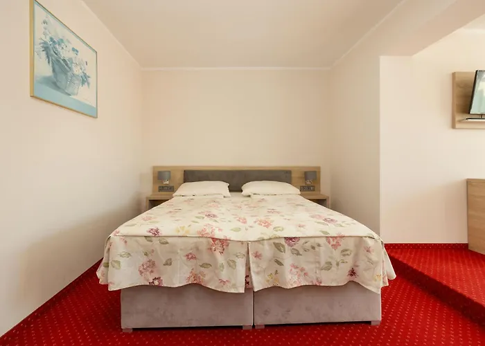 B&B Dom Goscinny Sand 레왈